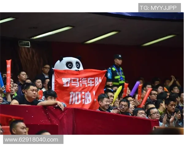 四川金强新引援表现抢眼，球队实力得到提升