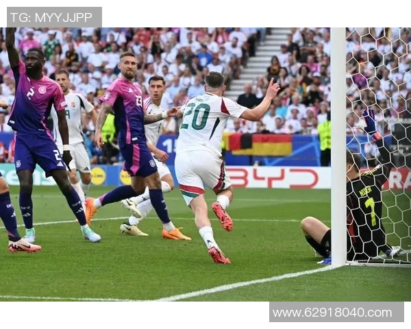 法国队力克德国,晋级欧洲杯16强! 法国队力克德国,晋级欧洲杯16强!